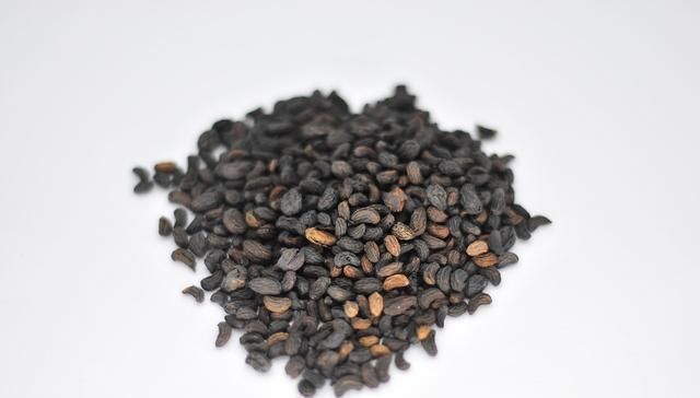 女贞子|此物滋养肝肾、充盛精血,退阴虚之火,生发黑发、明目,平血之压