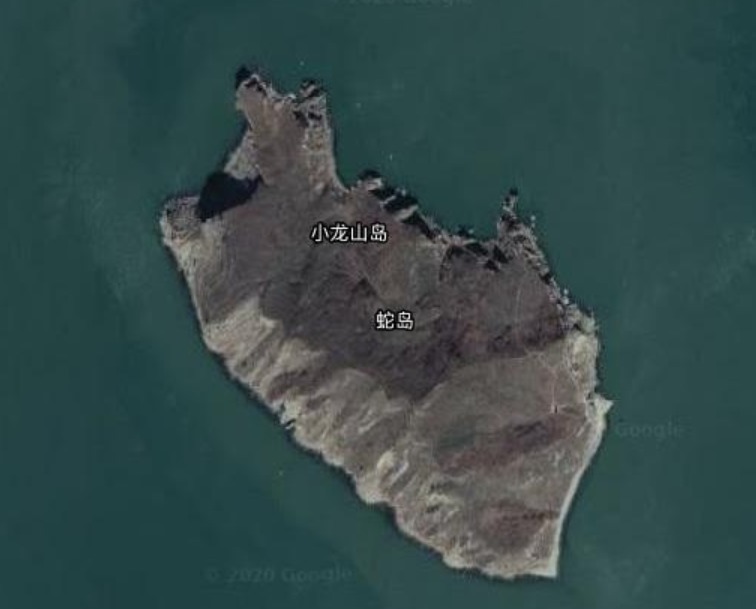 中国有多少个蛇岛，为何大连蛇岛上的蛇越来越凶猛？