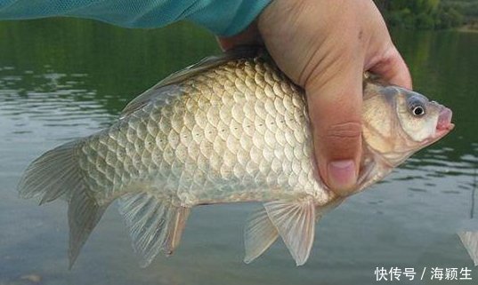 微风|钓鱼天气和钓点的选择技巧,这些时机出钓,钓一次爽一次