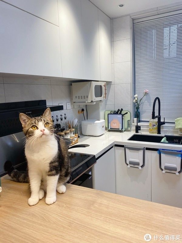 客厅|爆改43平小户型，不顾反对坚持主卧改客厅，完工后都说真香（上）