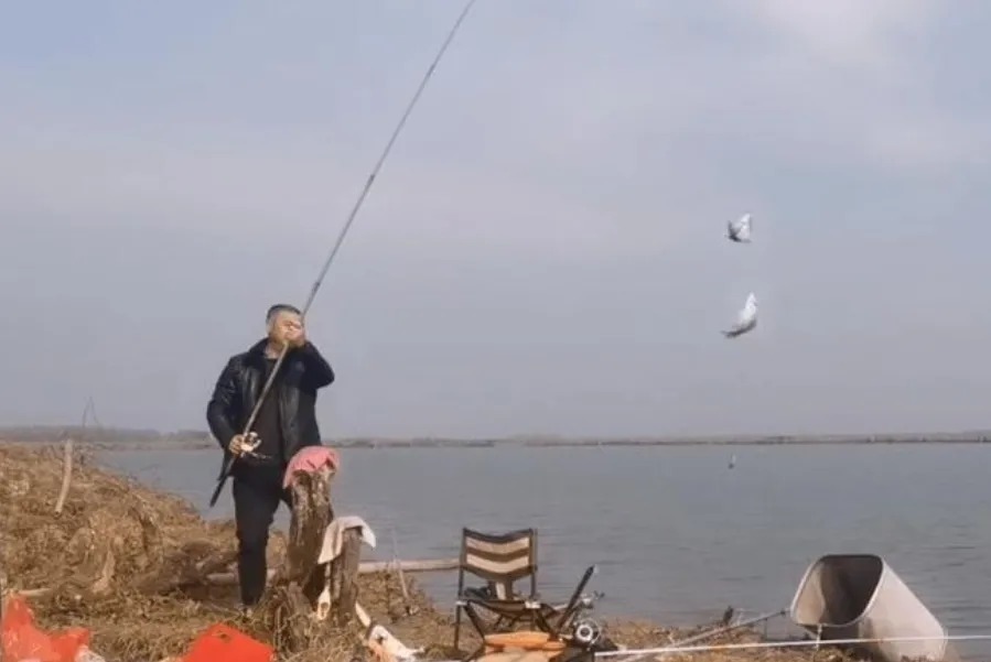 气温低,传统钓根本不管用?二十年老司机倾囊相助,大板鲫特好钓