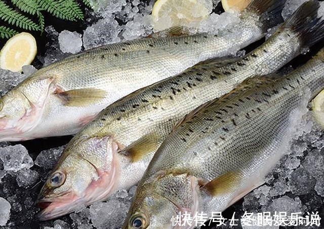 渔民|都是鲈鱼,海鲈鱼和淡水鲈鱼有何不同老渔民区别大了,别买错