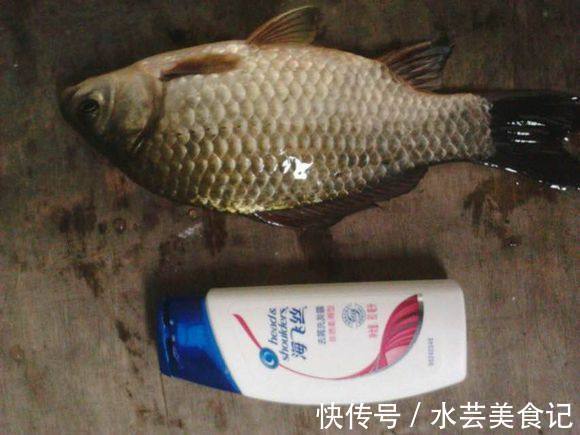 甲鱼|稀有五斤野生大甲鱼被钓起,可无人愿吃,只因背上有四个孔