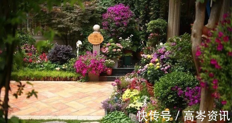 小区|坐拥270㎡大院子,她如何用五年时间,打造成了全小区最美的花园