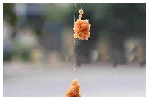 从此告别双钩钓鱼?史上最严“禁渔令”即将来临,钓鱼何去何从?