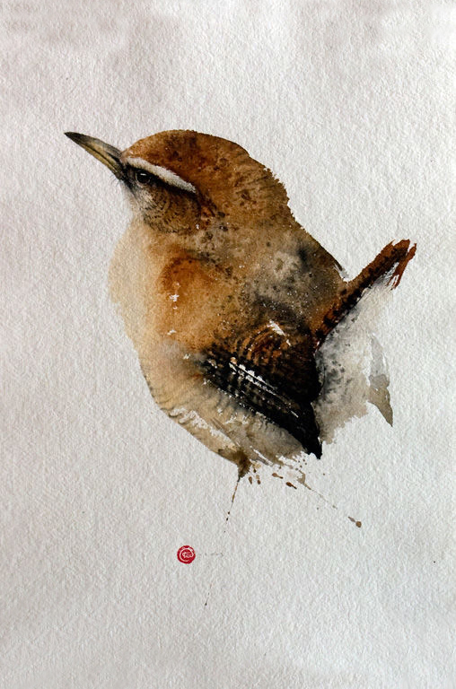 水彩艺@水彩艺术家卡尔·马尔滕斯画的鸟,惟妙惟肖!