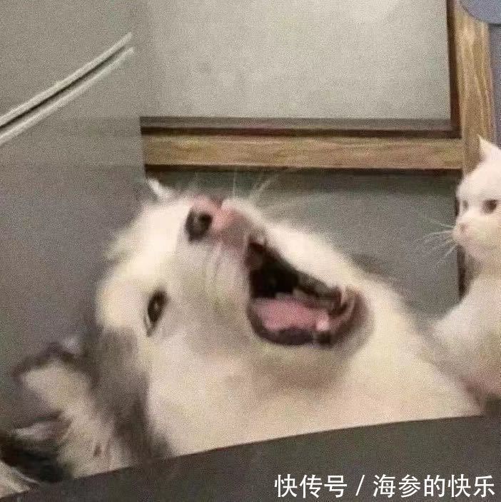 情侣头像|搞笑女的恋爱情头