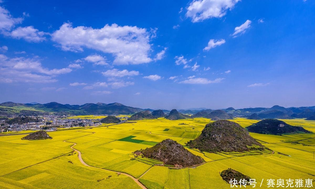 罗平油菜花盛开，小村寨在花海中隐匿点缀其间，已然入画