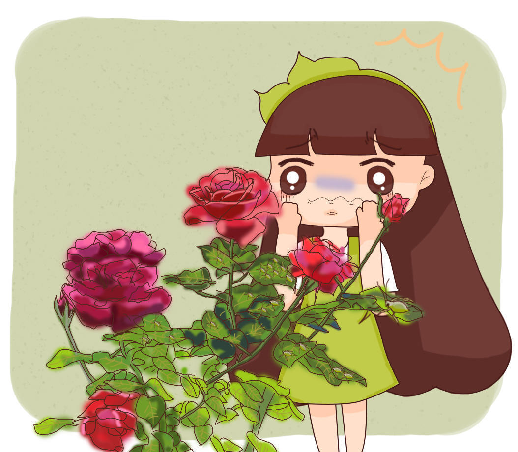 养花遇见虫害怎么办用这6种肥水浇花,虫远离叶翠绿