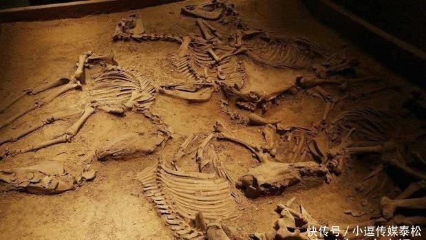 纣王|被黑了3千多年的商纣王,不但宏才大略,而且还重视妇女解放