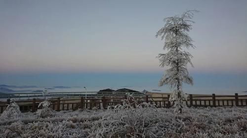 神农架|冬日神农架，醉美不过瑞雪初晴！