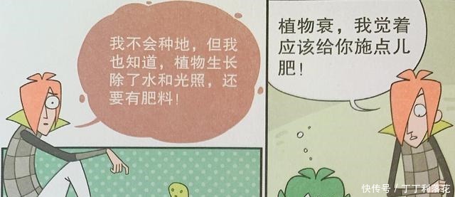 阿衰|阿衰成为“植物人”头发变“绿帽”这多亏了大伙的悉心照料！