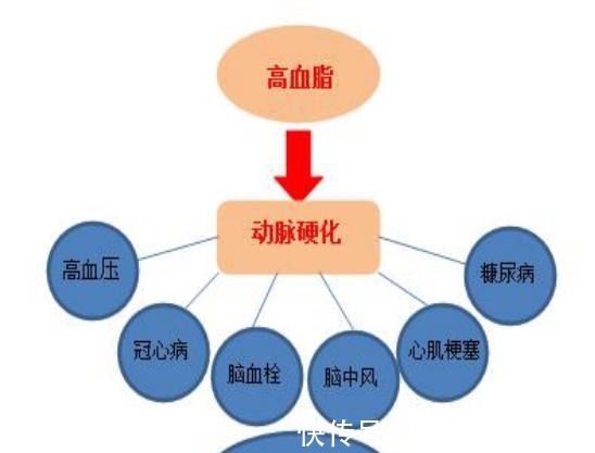 克星|高血脂“克星”公开，避免做这几件事，血管干净通畅