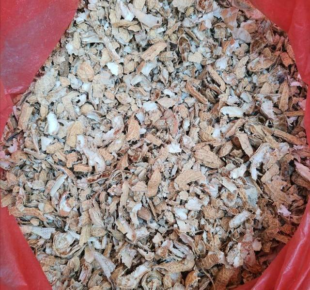 陷阱|兰花的四个“大误区”,看似有道理,实则很陷阱,别被人忽悠了