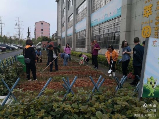 【动感中队】春风十里，不如春耕有你 记龙洲小学1908班班级菜园建设