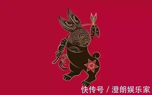 排行榜|属鼠阴险,属猴精明……十二生肖智商排行榜,太准了!