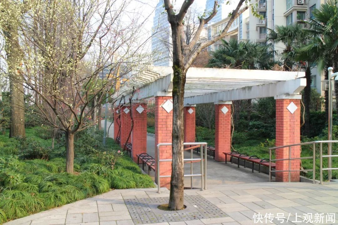 走进|梅开五福！普陀这里简直“美爆了”