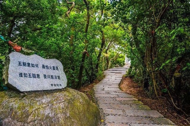 全国唯一的金丝楠木寺院，依山傍海壮美景色，海内外游客慕名到此