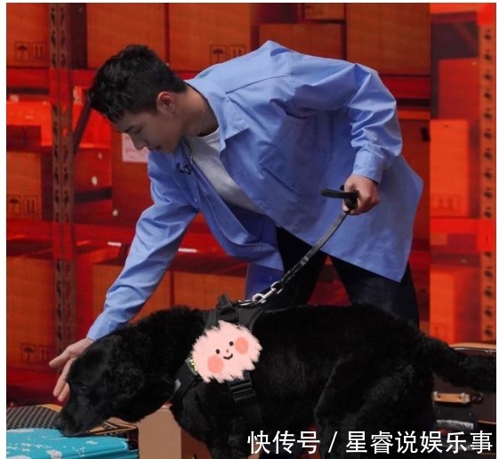 王一博掉马了,粉丝在《天天向上》看到他后,不敢再当女友粉