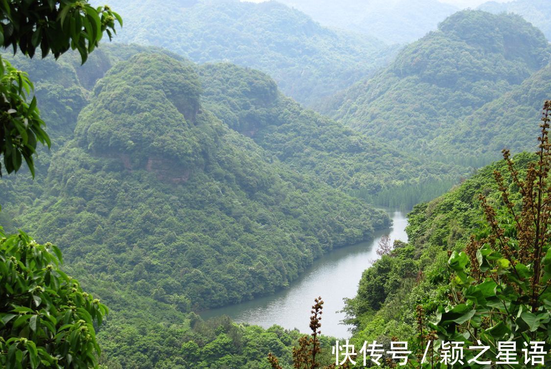 烧烤|隐秘而迷人的红杉林，绚烂热闹，三条便捷线路有限分享