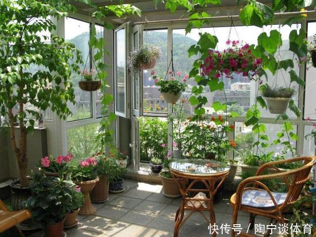 肥料|什么药片水、黄豆水,都不如家里“2种灰”,养花杀菌灭虫、补肥