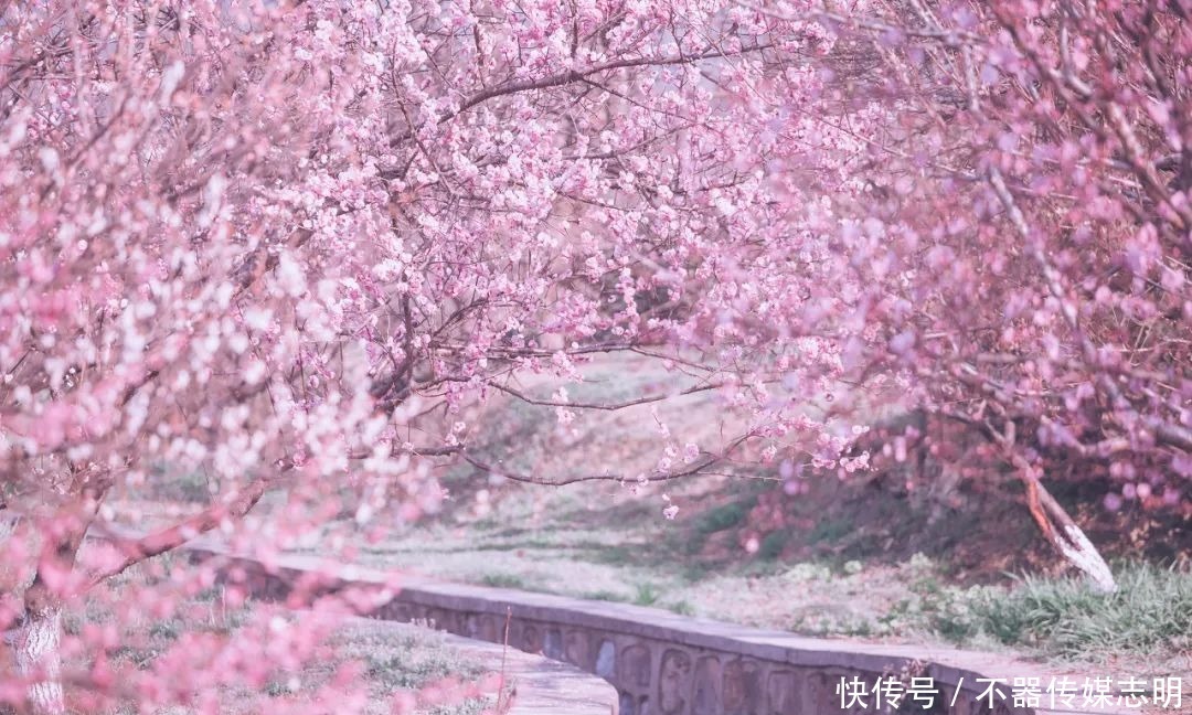 2月最佳旅行地榜单出炉｜看到第一个我就忍不住想出发……