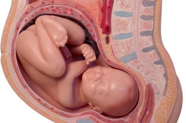 妈妈们|顺产分娩时,胎宝宝是自己爬出来的还是妈妈挤出来的?真相暖心