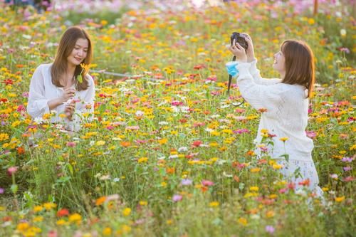 人气爆棚!春节假期深圳全市公园接待游客721万人次