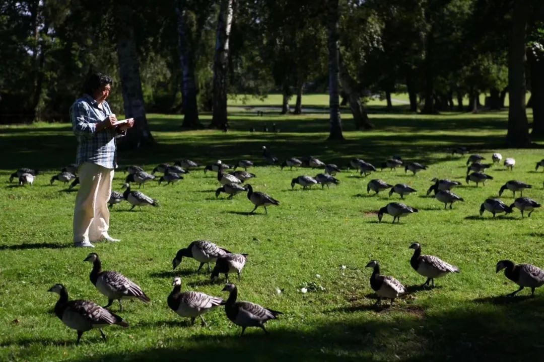 杨大眼造像@中西结合笔传情·锐意创新始通神——张山绘画人物山水艺术新貌