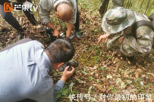 大熊猫|芒果TV《微光者》高燃收官！走最难的路，见最可爱的人｜导演手记