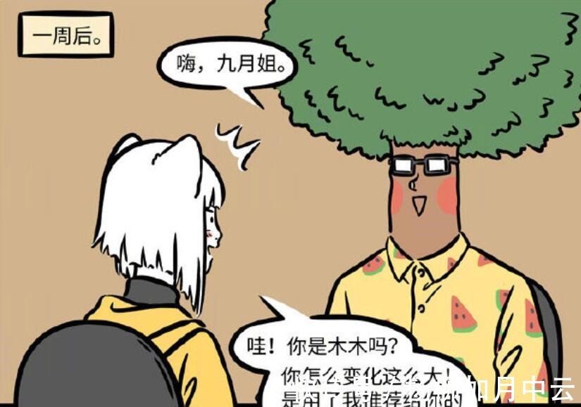 程序猿|非人哉九月相亲会推销面貌，这就是王者九月改变相亲会最霸道