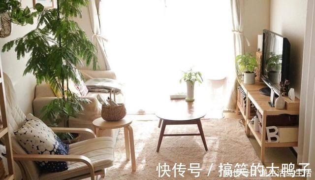 太太|日本退休夫妇的蜗居生活,房子虽小却布置得温馨精致,惹人喜爱!