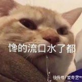 五哈版特色美食新鮮出爐！鄧超苗阜手做 biangbiang 面饞哭眾人？