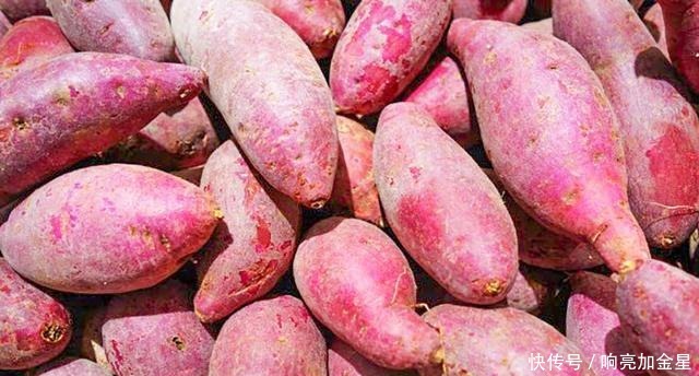 原藏甘薯如此简单,放半年不干不芽,放的时间越久越甜