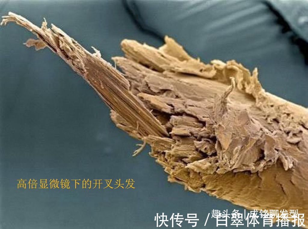 烫发 经常染发的老年人，要养成这三个养护好习惯，头皮健康不伤发