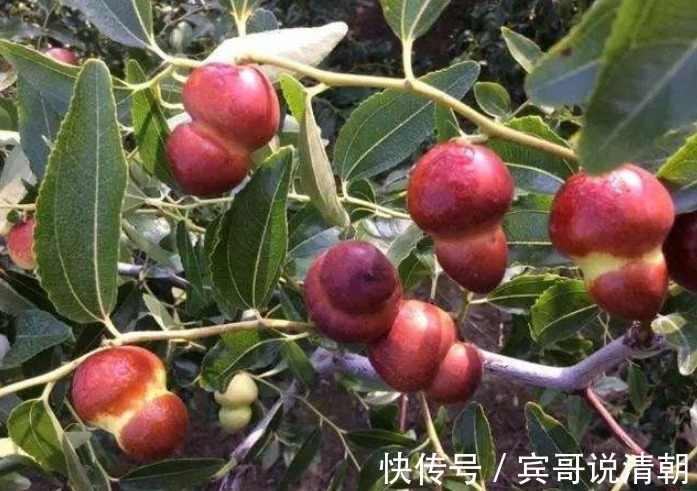 水果|对女人最好的水果，晚上当零食吃几颗，淡化皱纹，肌肤光滑细腻