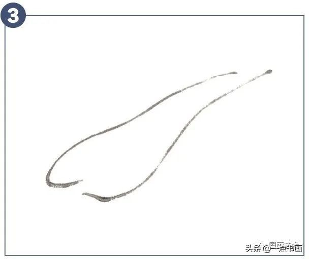 一步一步学画水墨大白菜