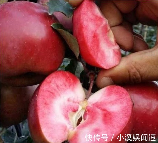 赘肉|女生肚子上有赘肉早上“空腹”吃几个，肠胃更干净，减掉大象腿