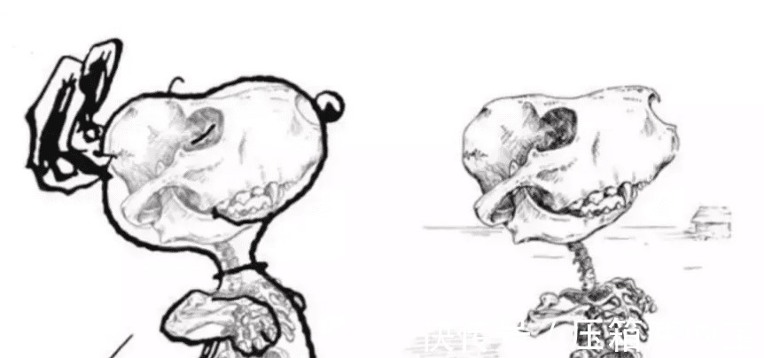 虚拟世界|二次元劝退,这就是你喜欢的角色骨骼真实的样子!