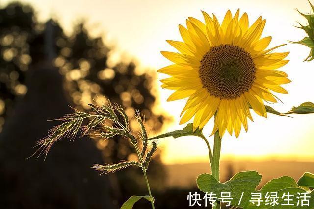 病人|癌症,真的能瞒得住病人吗瞒着好还是不瞒好呢