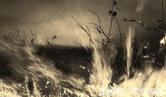 丁老三&故事:妻子失踪三年归来,丈夫却用火烧她,阴阳先生:她已不是人