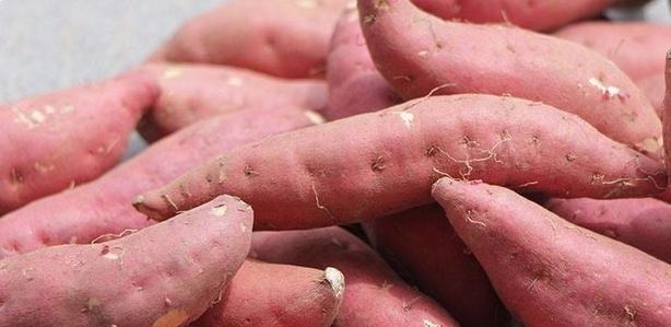 食物|冬季不妨多吃四种食物,美容养生、延缓衰老,好处多多