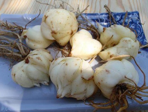 排毒|女性来“例假”,4大零食敞开吃,排血排毒,体重“嗖嗖”降