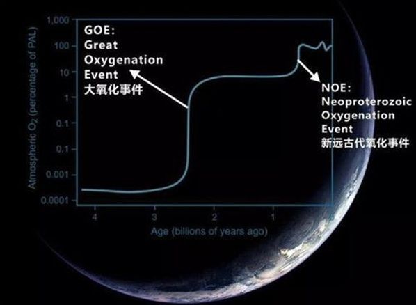 假如地球氧气含量从21%提升到90%，会发生什么？你可以骑着蜻蜓飞