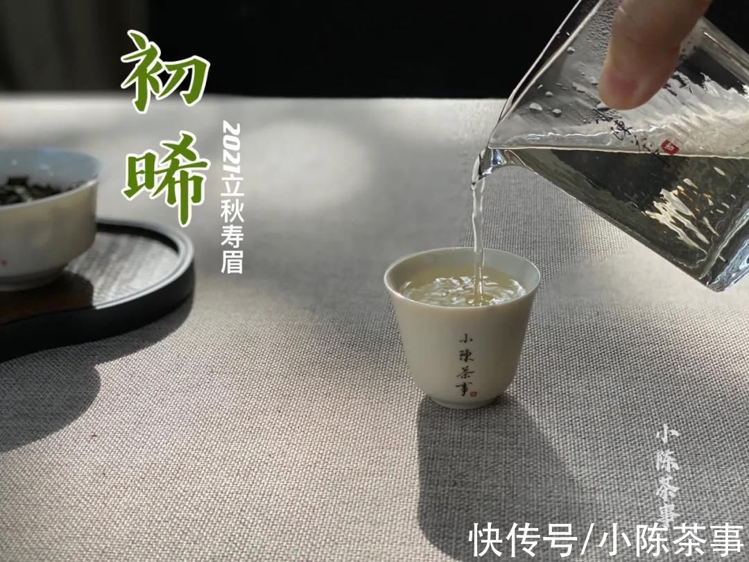 喝茶！5分钟，讲清白茶的5个常见误区，喝茶新手也能懂