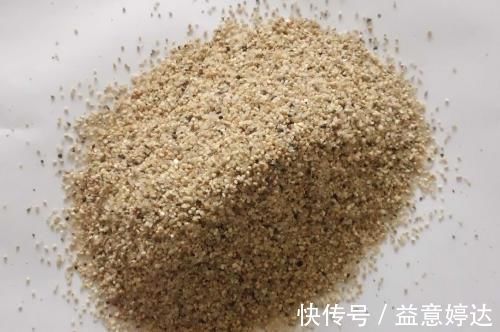 混搭土养花技巧：备上这几样，从此养啥花都能轻松应对