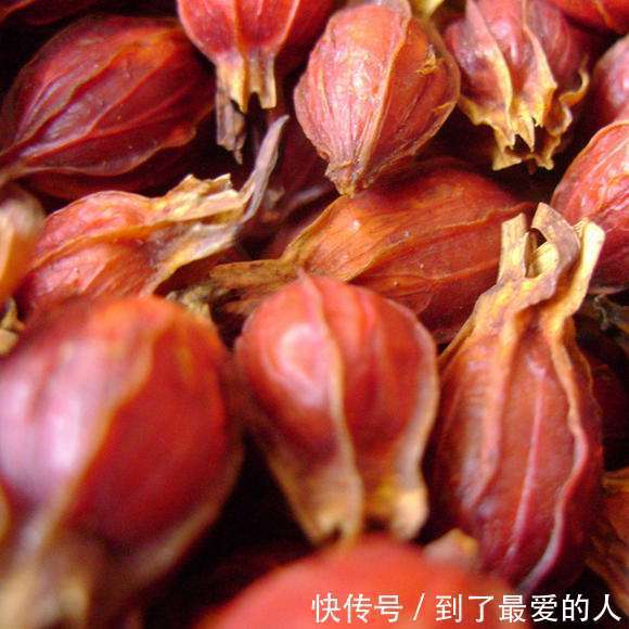 自由基|女人不想老太快,多吃此物,保护卵巢,淡化皱纹雀斑,越来越年轻