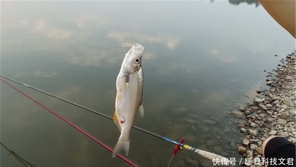 水闸|夏季钓不到鱼？往往是气压低导致鱼儿不开口，换个招数，轻松钓鱼