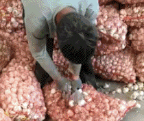 段子|搞笑GIF段子:这伴娘也太多了,这么大的车一车竟然坐不下!