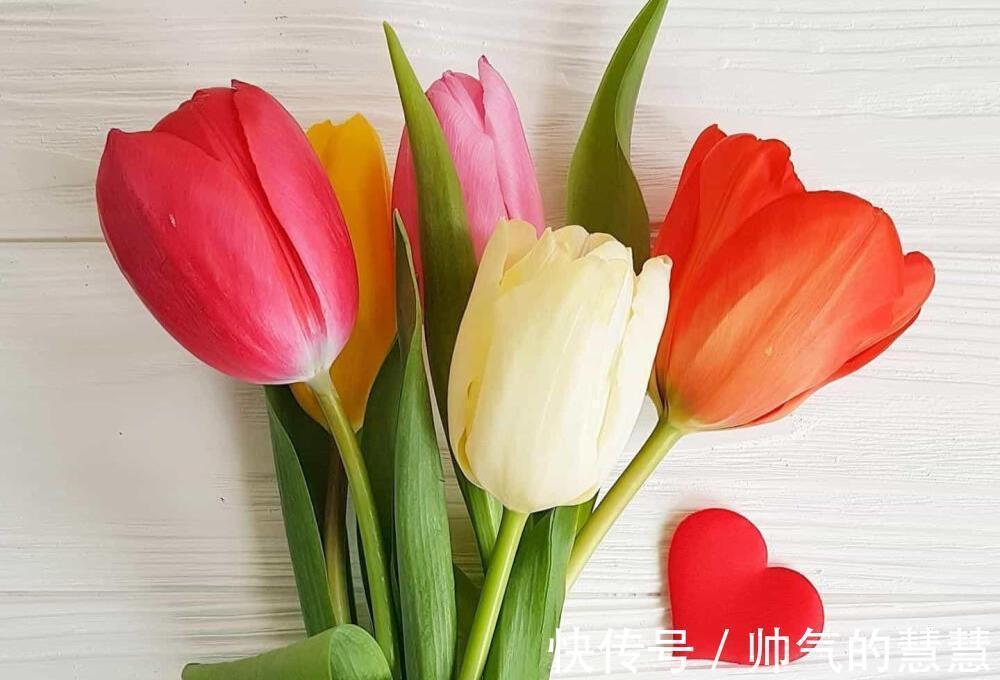 星座|有傲骨、很难讨好他人的星座,不活在世俗的眼光下,追求本心